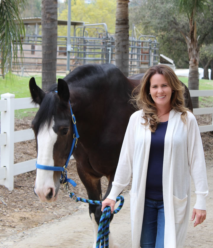 Reins of Valor Psychotherapy with Dr. Stella Lerlo